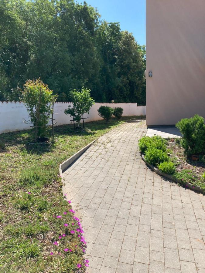 Villa Dijana Viskovići Eksteriør billede
